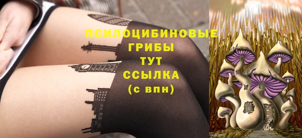 бошки Балахна