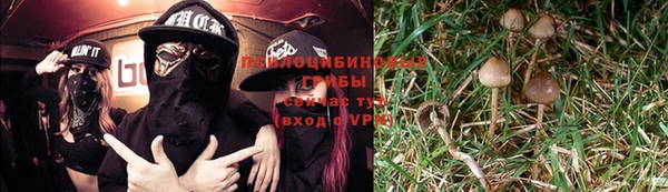 бошки Балахна