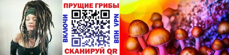 сайты даркнета состав  купить наркотики цена  Белёв  Галлюциногенные грибы ЛСД 